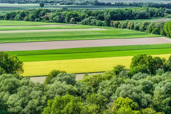 Colorful agriculture fields — Stock Photo, Image