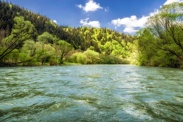 Forsränning floden Vah, Slovakien — Stockfoto