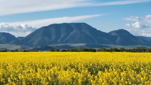 Hill Prosecne, Slovakya — Stok fotoğraf