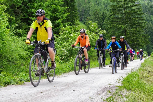 Bisikletçi bisiklet doğa deneme