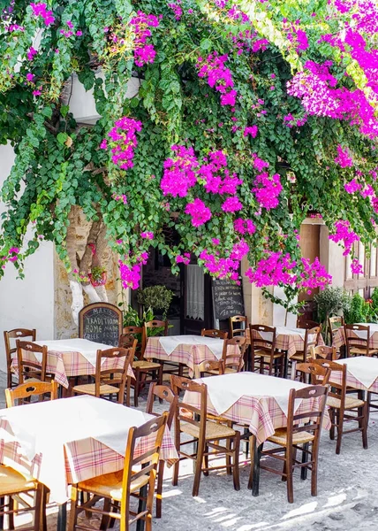Bougainvillea flower and taverna, Greece — Stock Photo, Image