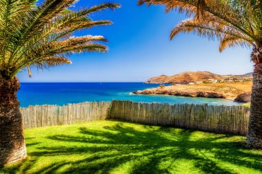 Palmiye ağaçları ve deniz Crete Adası