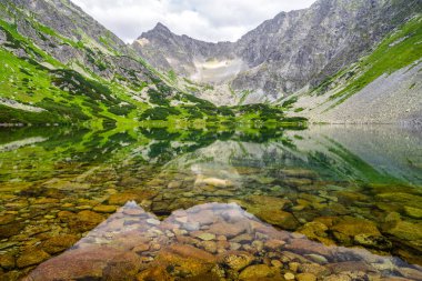 Güzel yaz göl Dağları. Yüksek tatras, Slovakya