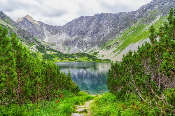 Beautitul yaz landscpae yüksek Tatras mountains, Slovakya için — Stok fotoğraf