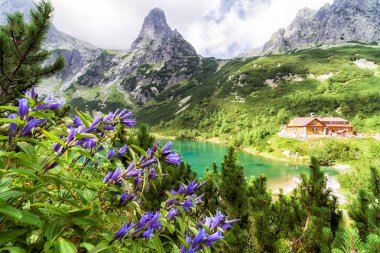 Dağ evi yüksek Tatras, Slovakya