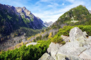 Sonbahar yüksek Tatras mountains, Slovakya için