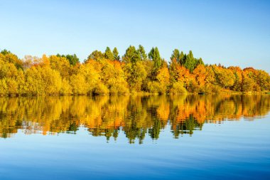Sonbahar ağaçlar gölde yansıması