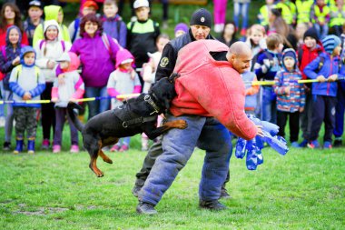 Polis köpek eğitimi