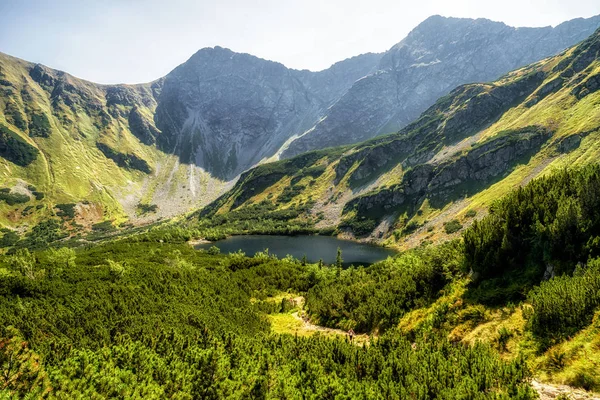 호수 Rohacske plesa 서쪽 Tatras, 슬로바키아 — 스톡 사진