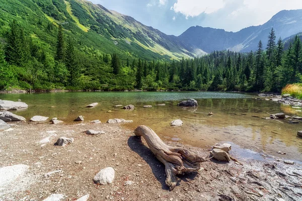 Tatliakovo sjö i västra Tatrabergen, Slovakien — Stockfoto