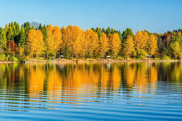 Spiegelung der Herbstbäume am See — Stockfoto