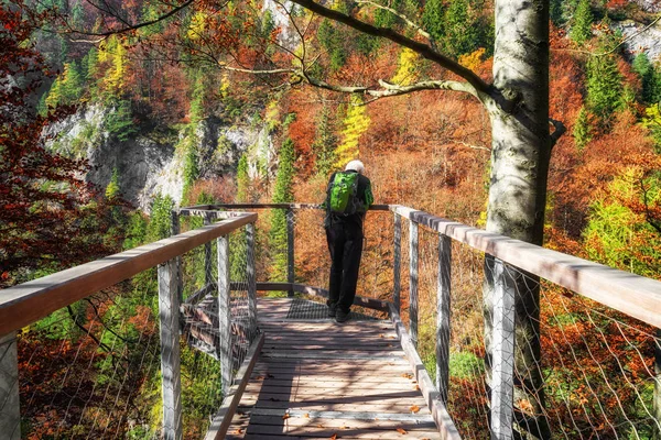 Man op zoek in bos — Stockfoto