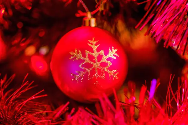 Rode bal op kerstboom — Stockfoto
