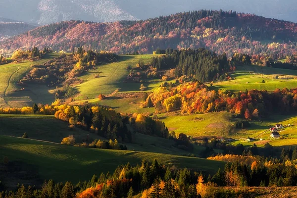 Барвисті осінні країни — стокове фото