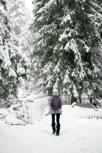 Samotna dziewczyna w śnieżnym lesie — Zdjęcie stockowe