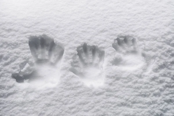 Отпечатки пальцев на снегу — стоковое фото