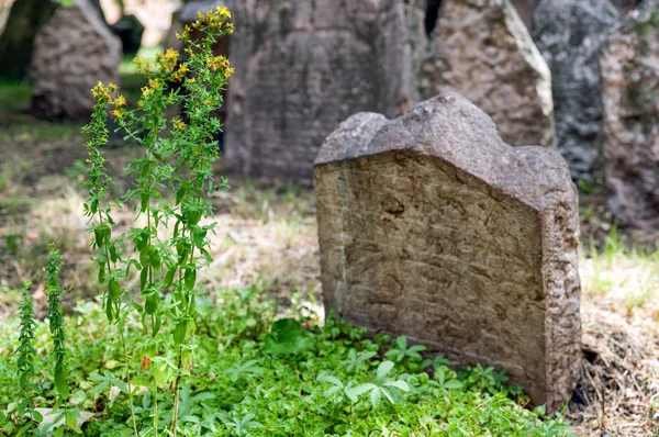 プラハ、チェコ共和国の旧ユダヤ人墓地 — ストック写真