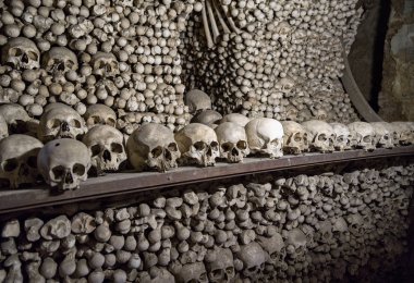 kafatasları ve kemikleri