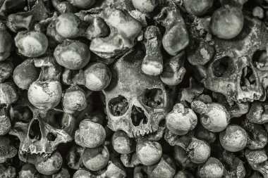 kafatasları ve kemikleri