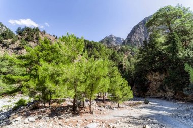 Samiriye gorge Ulusal Parkı