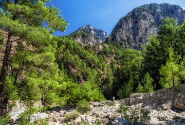 Samiriye gorge Ulusal Parkı