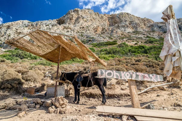 Ослиное такси на острове Крит, Греция — стоковое фото