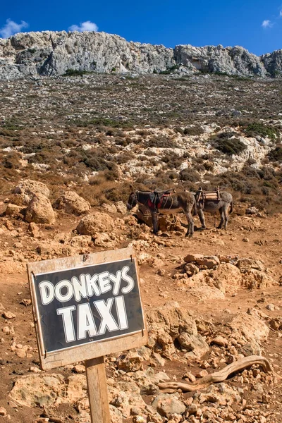 希腊克里特岛的驴出租车 — 图库照片