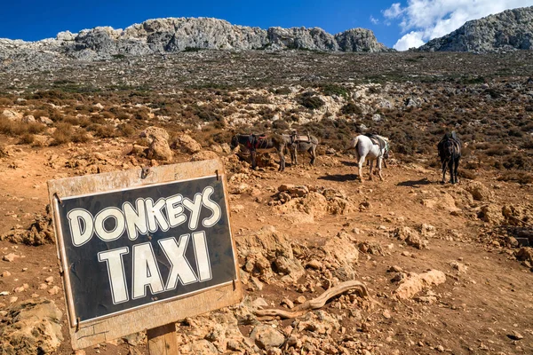 Donkey taxi in Crete island, Greece — Stock Photo, Image