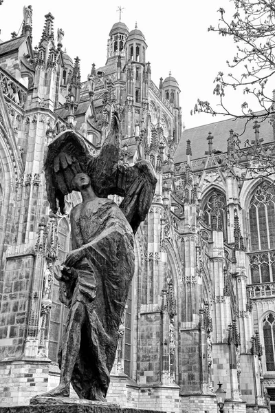 Standbeeld voor st. john's kathedraal in's-hertogenbosch, netto — Stockfoto