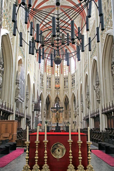 Hertogenbosch, 네덜란드에 세인트 존의 대성당의 내부 — 스톡 사진