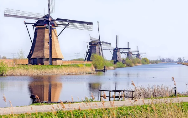 Wiatraki w kinderdijk, Holandia — Zdjęcie stockowe