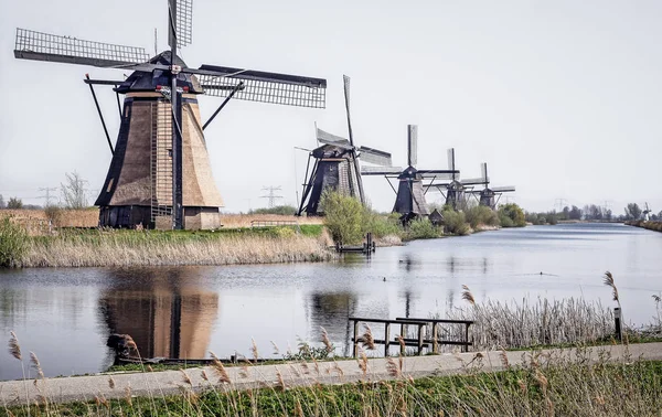 Molinos de viento en Kinderdijk, Países Bajos — Foto de Stock