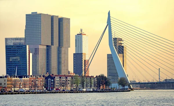 Modern architecture in Rotterdam, Netherlands — Stock Photo, Image