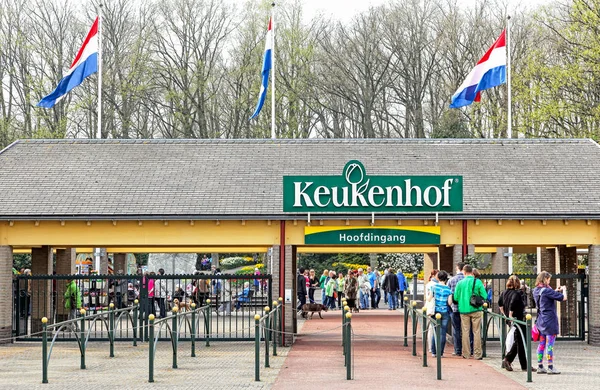 Keukenhof - Garden of Europe, Netherlands — Stock Photo, Image