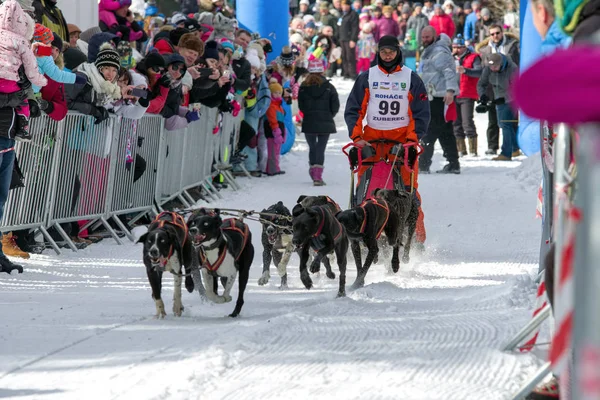 Carrera de trineos en Zuberec, Eslovaquia — Foto de Stock