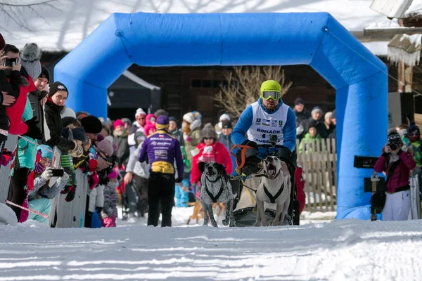 Carrera de trineos en Zuberec, Eslovaquia — Foto de Stock