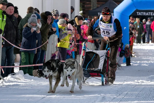 Carrera de trineos en Zuberec, Eslovaquia — Foto de Stock