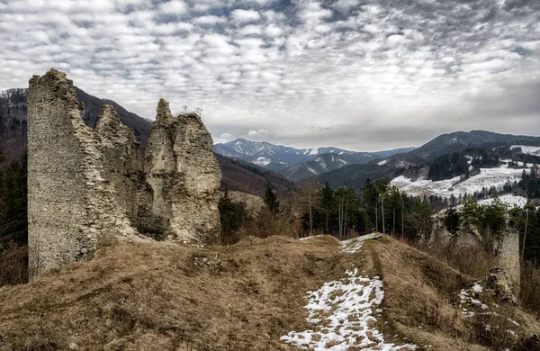 El castillo Sklabina, Eslovaquia — Foto de Stock