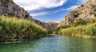Nehirde Preveli palmiye orman, Crete