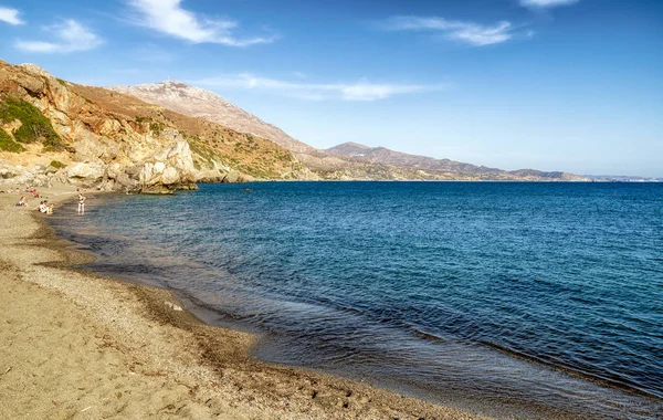 Palmiye ağaçları orman