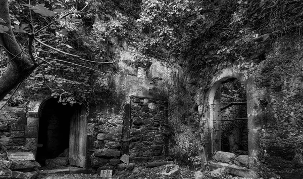 숲에서 집안의 유적 — 스톡 사진