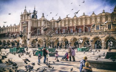 Pigeon's akın, Krakow, Polonya