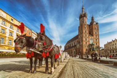 At arabası Krakow, Polonya
