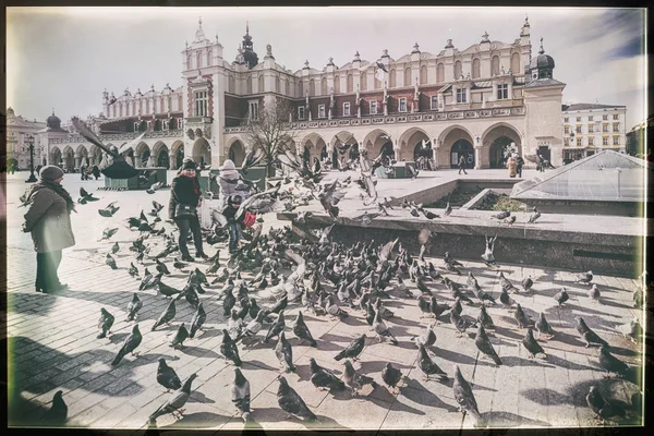 Pigeon's flock in Krakow, Poland — Stock Photo, Image