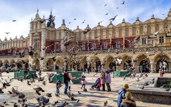 Rebaño de palomas en Cracovia, Polonia —  Fotos de Stock