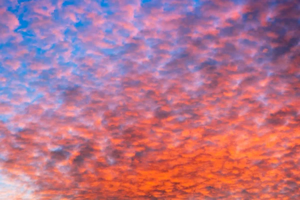 夕方の空のカラフルなオレンジ色の雲 — ストック写真