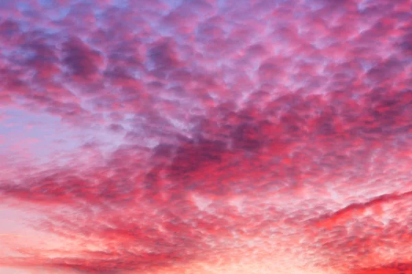 薄明色の空のオレンジ色の雲 — ストック写真