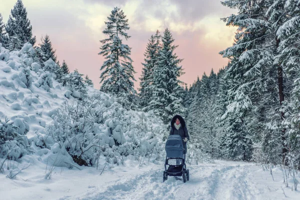 Kvinna Knuffar Barnvagn Utanför Naturen Snöig Vinterskog — Stockfoto