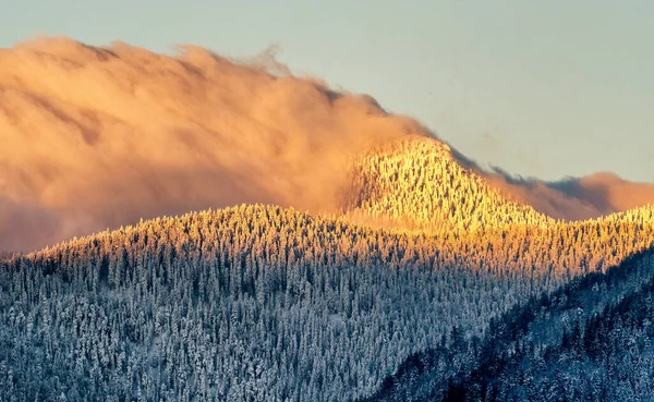 Яскраві Хмари Вершині Пагорба Снігові Дерева Зимовому Пагорбі Під Час — стокове фото
