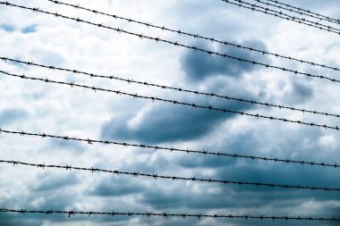 Dikenli teller ve gökyüzünde kara bulutlar. Auschwitz - Birkenau